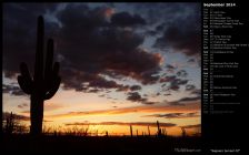 Saguaro Sunset III