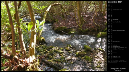 Mingus Creek at Smoky Mountains