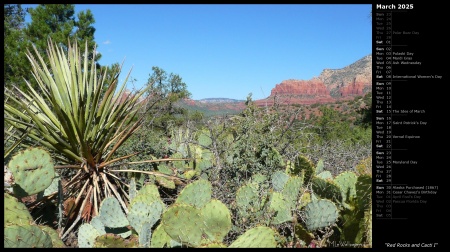 Red Rocks and Cacti I