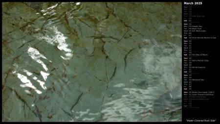 Water-Covered Rock Slab