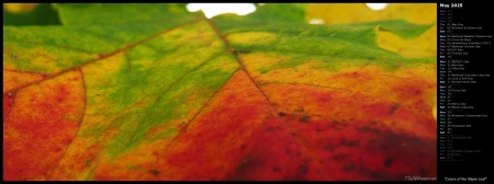 Colors of the Maple Leaf