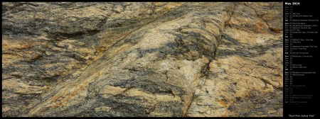 Rock from Joshua Tree