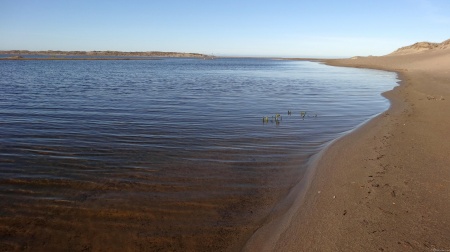 Abbotts Lagoon II