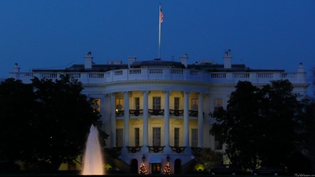 Christmas White House at Night