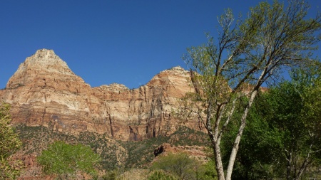 Red Rocks at Zion