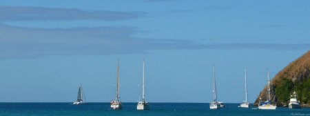 Sailboats in the Bay