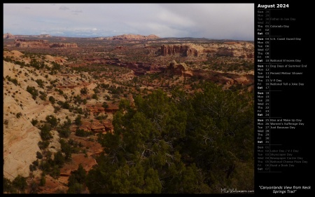 Canyonlands View from Neck Springs Trail