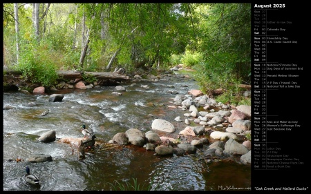 Oak Creek and Mallard Ducks