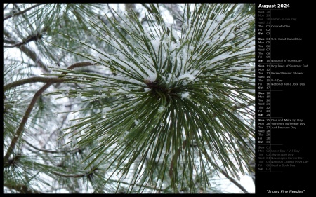 Snowy Pine Needles