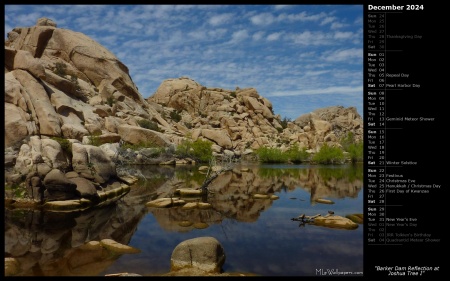 Barker Dam Reflection at Joshua Tree I