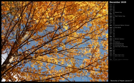 Branches of Maple Leaves II