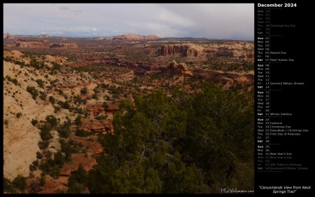 Canyonlands View from Neck Springs Trail