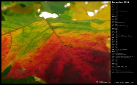 Colors of the Maple Leaf