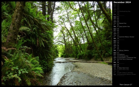 Fern Canyon II