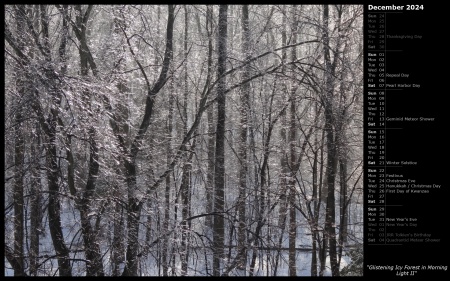 Glistening Icy Forest in Morning Light II