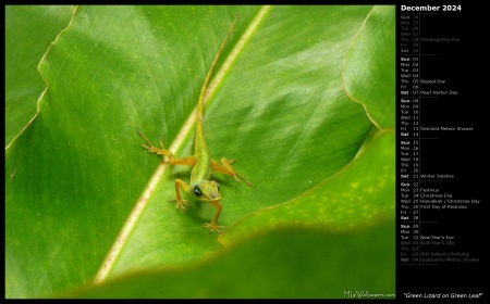 Green Lizard on Green Leaf