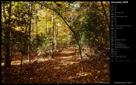 Greenbelt Park in Fall I