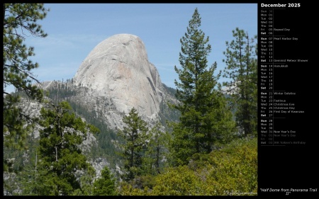 Half Dome from Panorama Trail II