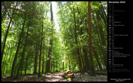 Hemlock Trail at Laurel Hill State Park I