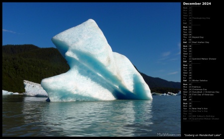 Iceberg on Mendenhall Lake