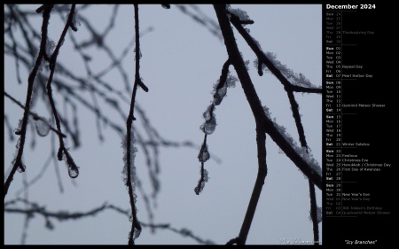 Icy Branches