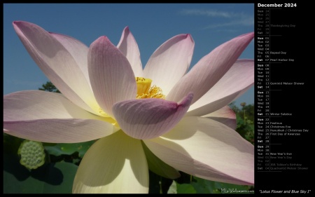 Lotus Flower and Blue Sky I