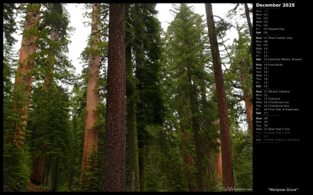 Mariposa Grove