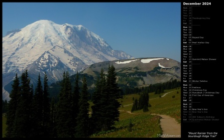 Mount Rainier from the Sourdough Ridge Trail