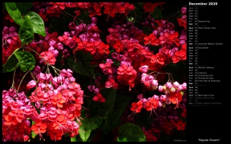 Pagoda Flowers