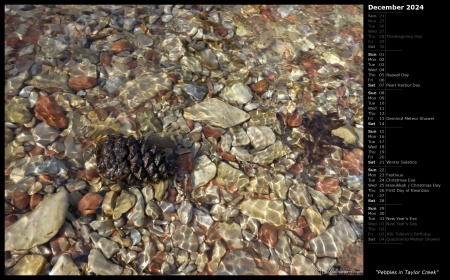 Pebbles in Taylor Creek