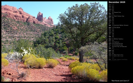 Red Rocks and Cacti II