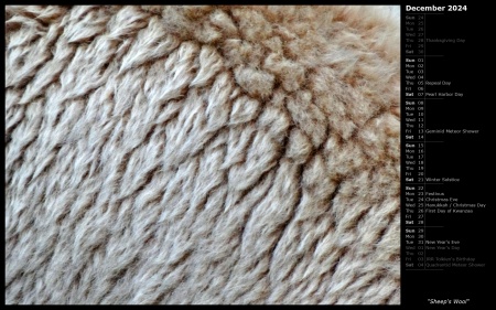 Sheep's Wool