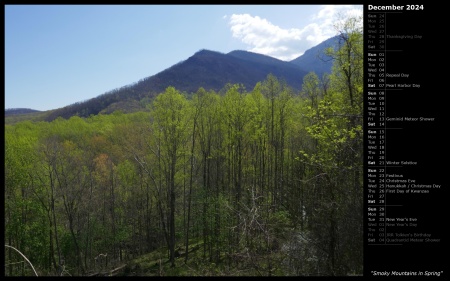 Smoky Mountains in Spring