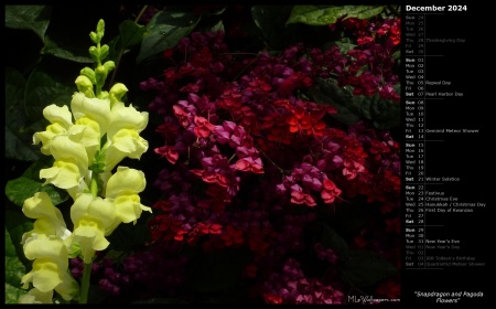 Snapdragon and Pagoda Flowers