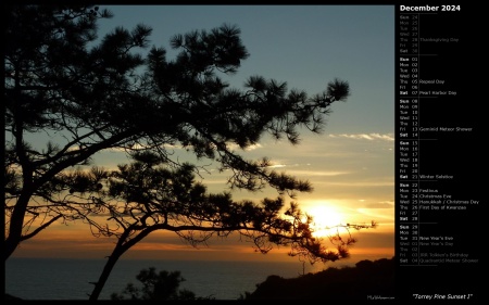 Torrey Pine Sunset I