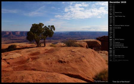 Tree Out of Red Rocks