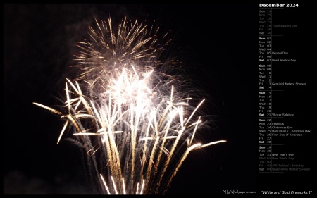 White and Gold Fireworks I