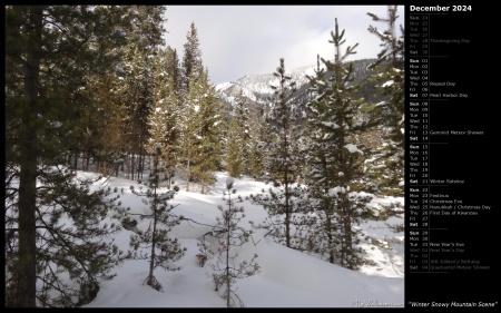 Winter Snowy Mountain Scene