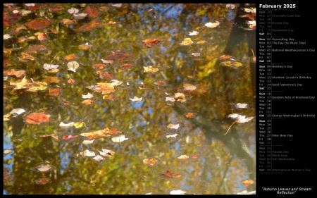 Autumn Leaves and Stream Reflection