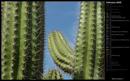 Barrel Cactus I