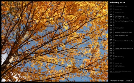Branches of Maple Leaves II