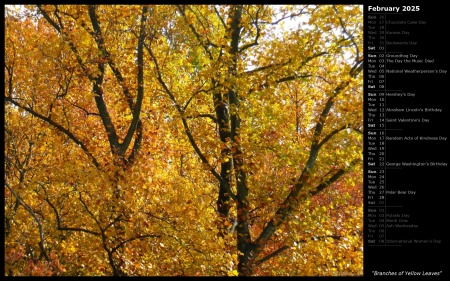 Branches of Yellow Leaves