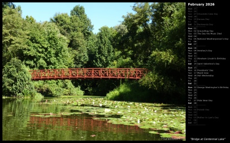 Bridge at Centennial Lake