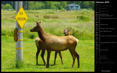 Elk Crossing