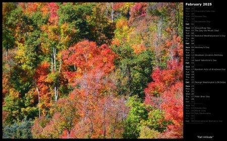 Fall Hillside