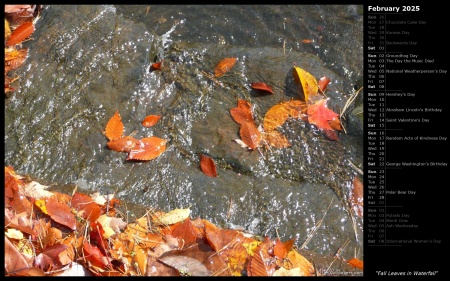 Fall Leaves in Waterfall