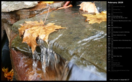 Fall Leaves in Waterfall II