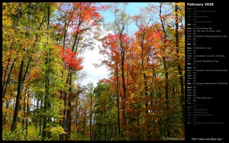 Fall Trees and Blue Sky