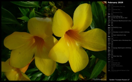 Golden Trumpet Flowers II