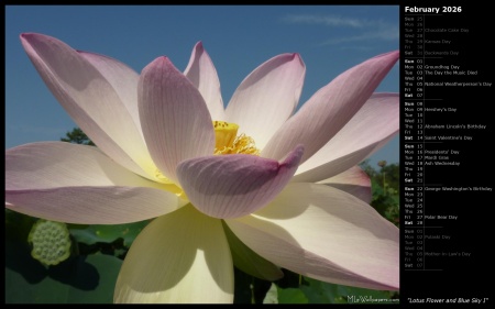 Lotus Flower and Blue Sky I